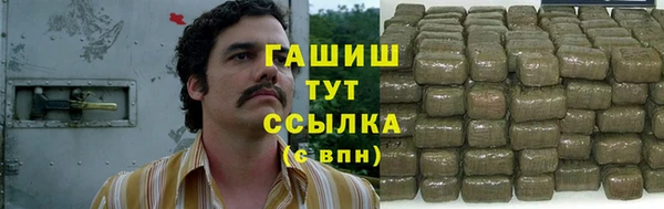 индика Верхний Тагил